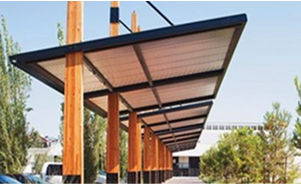 Woody Concept Design