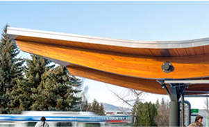 Woody Concept Design